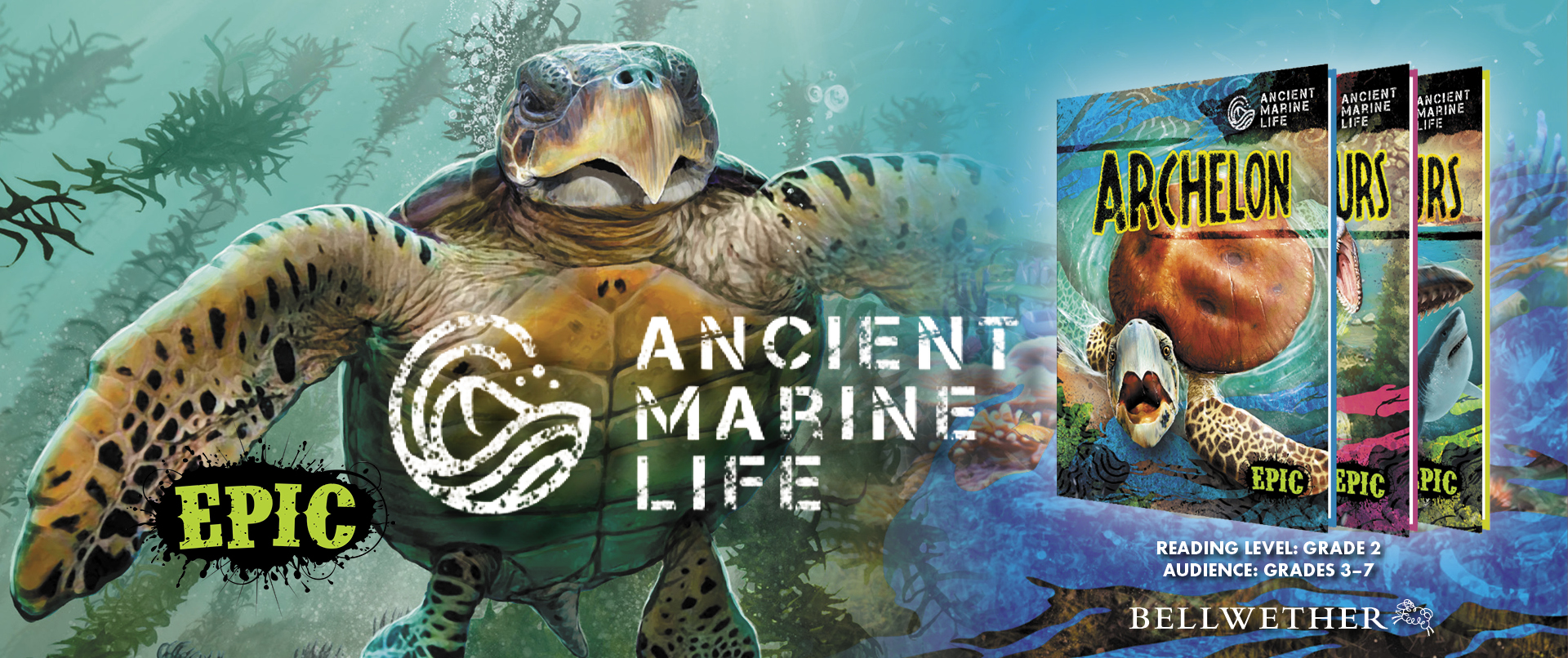 Ancient Marine Life